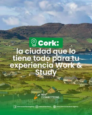 Pieza New Connections International 5